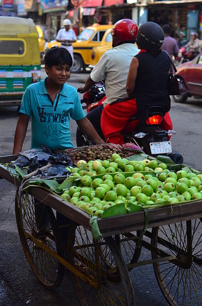 File:Fruit seller in Kolkata.jpg