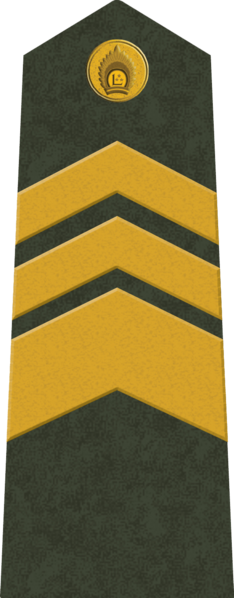 File:LV-Army-OR8.png