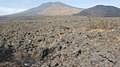 Landscape of Mount Cameroon