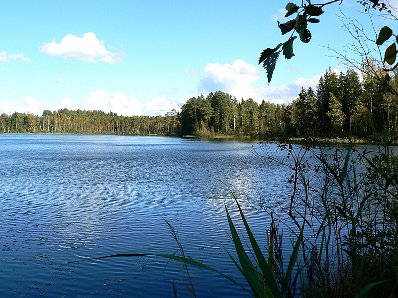 File:Näkijärv 2.jpg