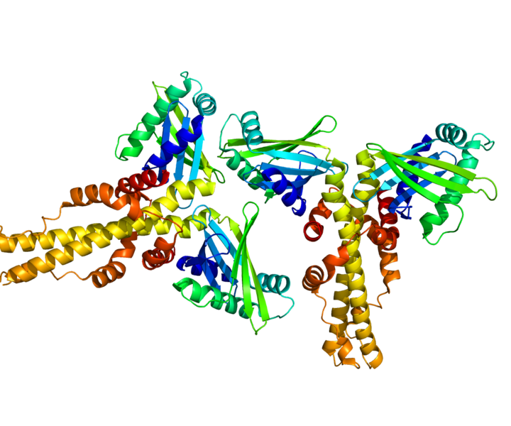 File:Protein NHEJ1 PDB 2QM4.png