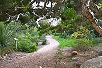 Path through gardens