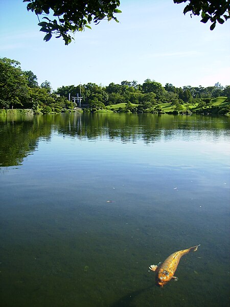 File:Suizenji Carp.JPG