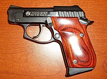 Taurus P22.JPG