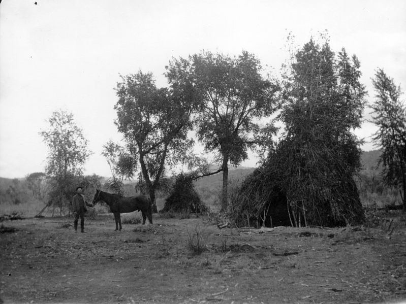 File:Ute wickiup.jpg