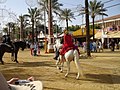 Horse Riding at Fair of Jerez de la Frontera