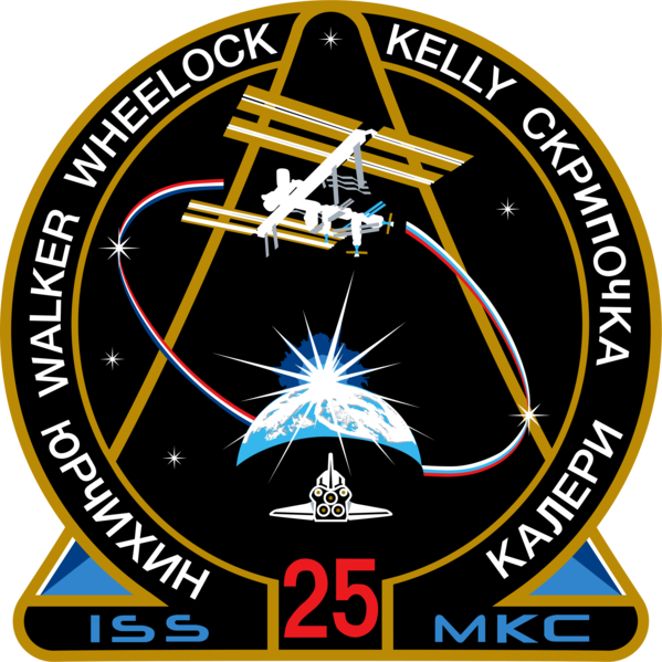 File:ISS Expedition 25 Patch.png