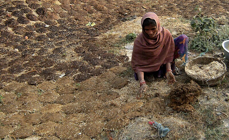 File:Komaya (cow dung).jpg