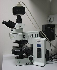 Olympus-BX61-fluorescence microscope.jpg