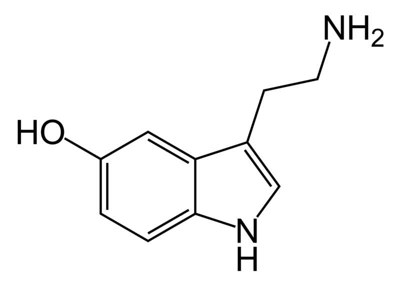 File:Serotonin-skeletal.png