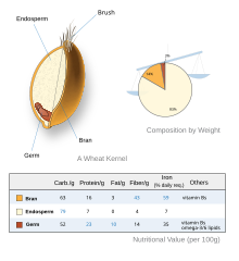 Wheat-kernel nutrition.svg