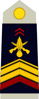 File:Army-FRA-OR-04a.svg