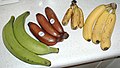 Certain banana cultivars turn red or purplish instead of yellow as they ripen.