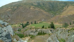 One of the area's vineyards