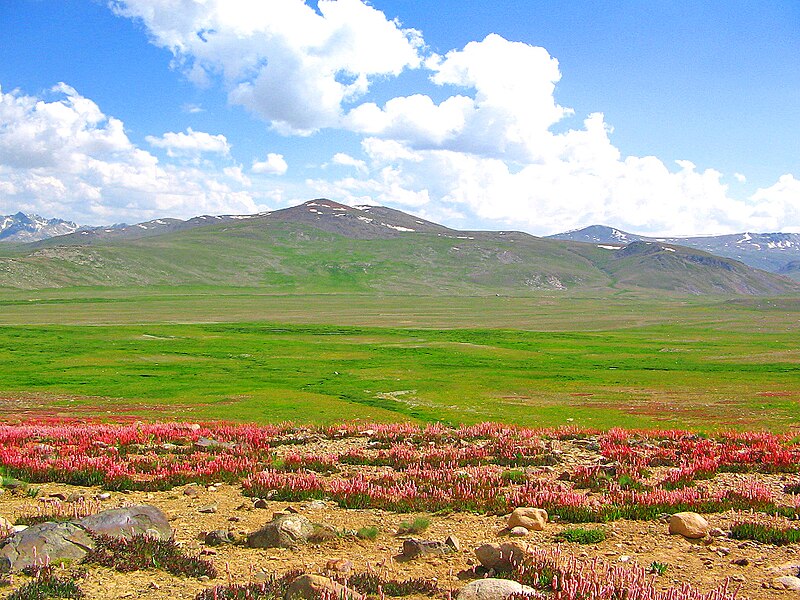 File:Deosai Plateau 2.jpg