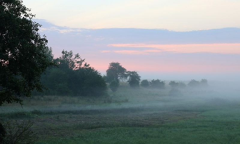 File:Desenka meadow 2016 G1.jpg