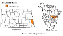 The distribution of the Greater Redhorse extends latitudinally from southeastern North Dakota to eastern New York and longitudinally from northern Michigan to southern Ohio.