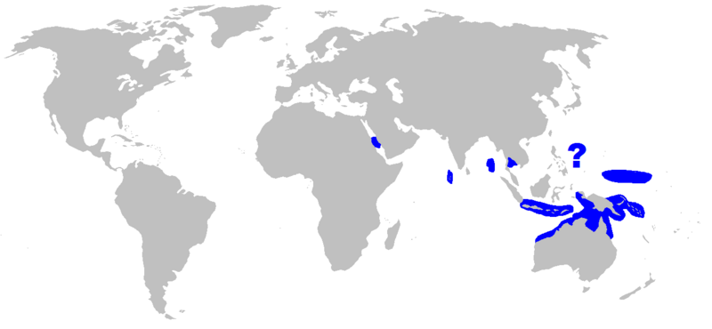 Файл:Himantura granulata rangemap.png