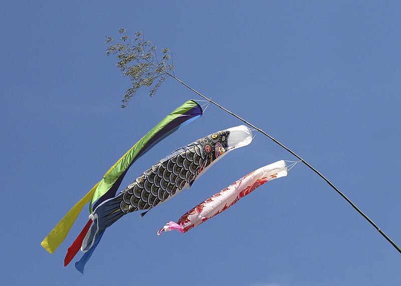 File:Koinobori C1600.jpg