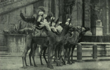 Black and White photograph of five camel cavalry in front of the Palazzo Senatorio in Rome.