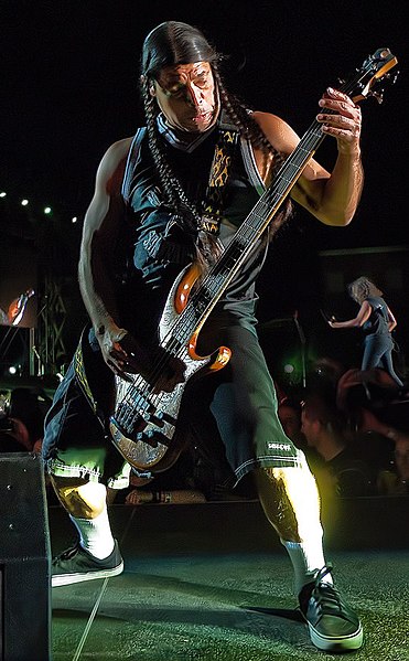 Archivo:Robert Trujillo at Sonisphere.jpg