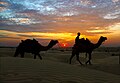 Sand dunes