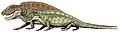 Restauración Sphenacodon ferox y S. ferocior.