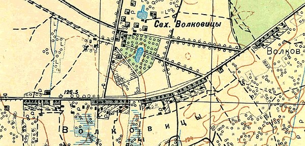 План деревни Волковицы. 1931 год