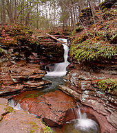 Photo of a plume of water falls in a narrow channel carved in layers of reddish brown rock. The falls, surrounded by green foliage, spill into a shallow pool.