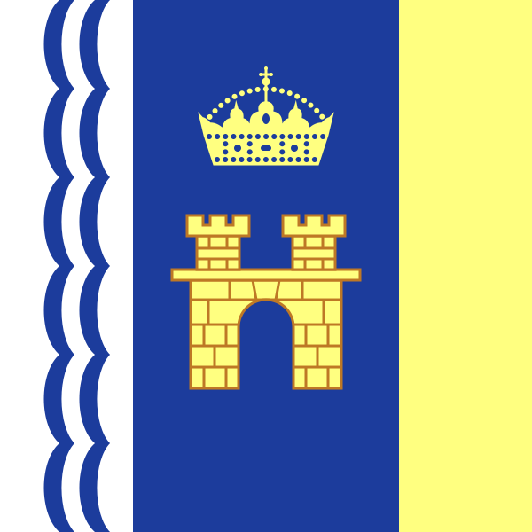 File:Flag of Stryi.svg