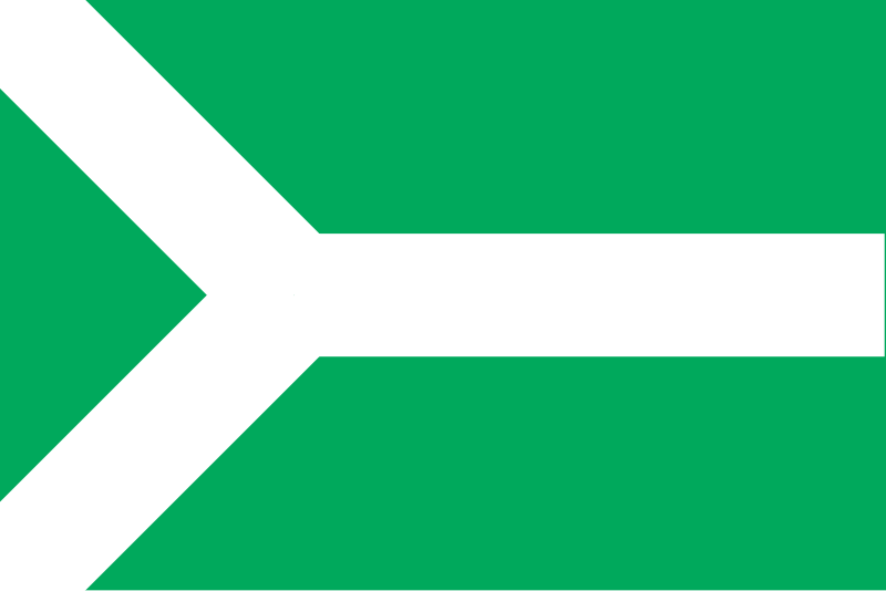 Файл:Flag of Zestafoni Municipality.svg