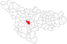 Location in Timiș County