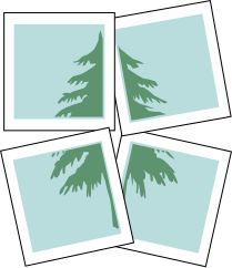 File:Panorama request1.svg