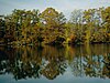 Trees with red, orange, and yellow leaves reflected in a lake