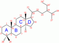 Numbering of the steroid nuclei