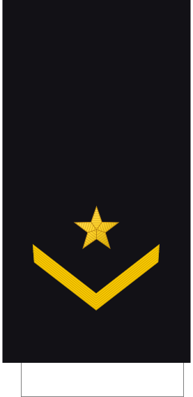 File:Yugoslavia-Navy-OR-5-Sleeve (1951–2006).svg