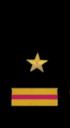 нарукавный знак ВМФ