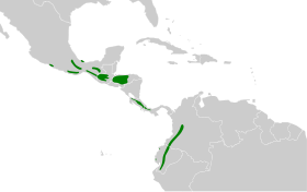 Distribución geográfica del ticotico de anteojos.