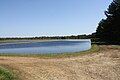 Cranberry bog east of Warrens