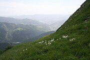 Scenery in central South Ossetia.