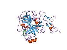 PDB 1g2m EBI.jpg