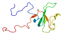 Protein CYLD PDB 1ixd.png