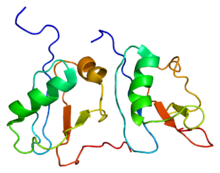 Protein DFFB PDB 1ibx.png