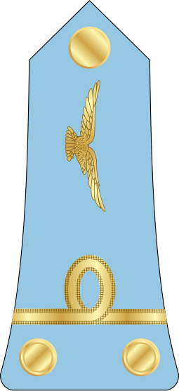 File:11.Madagascar Air Force-1LT.svg