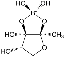 Autoinducer-2