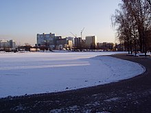 Altufyevo pond in winter.JPG