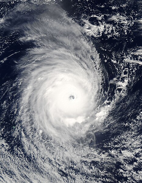 File:Cyclone Adeline-Juliet 2005.jpg