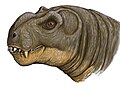 Deuterosaurus jubilaei