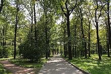 Dubki park 06.jpg