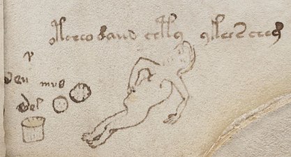 Marginalia en f66r. La persona dibujada parece alguien que está al borde de la muerte o muy enfermo.